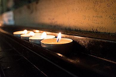 《方块方舟》复活节版本上线，春日趣味冒险等你参与！